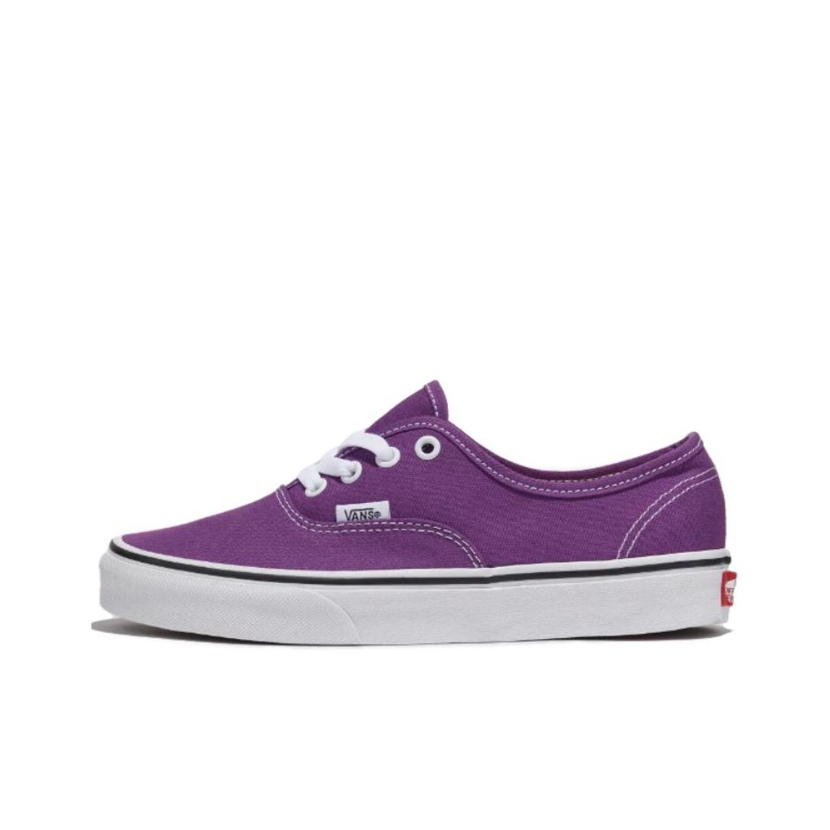 Vans Shoes Authentic - Vans Authentic Cushioning Slijtvaste demping, slijtvaste